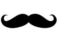 MOVEMBER - THE CHASE IS ON....